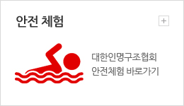 안전체험